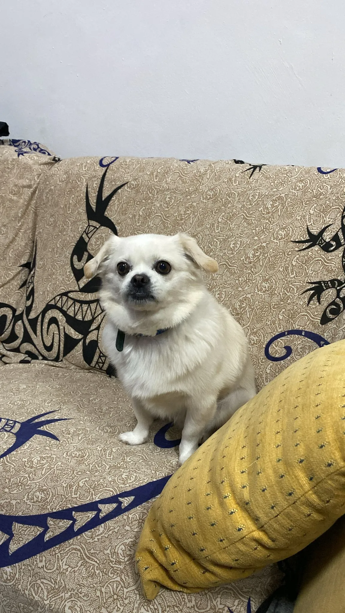 Imatge de la filà - thor